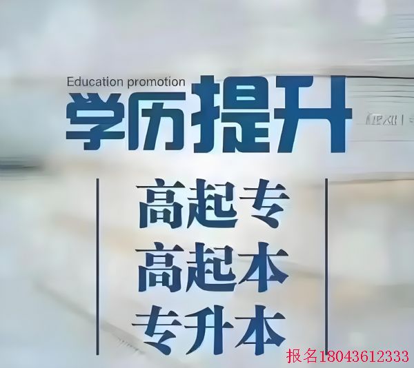 2026�걱����ѧ���˸߿�����רҵ��ϸ����